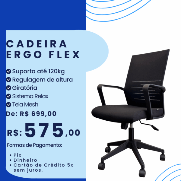Cadeira Ergo Flex