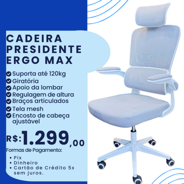 Cadeira Presidente Ergo Max Cinza