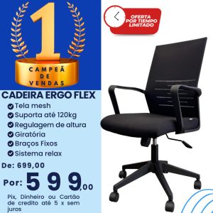 WhatsApp Image 2025-12-15 at 16.37.00ergo